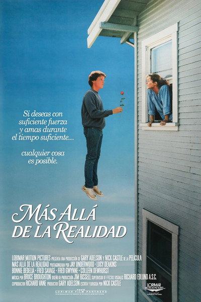 Póster de Si quieres puedes volar