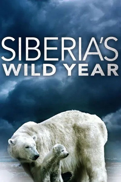 Póster de Siberia's Wild Year