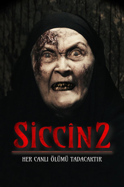 Póster de Siccin 2