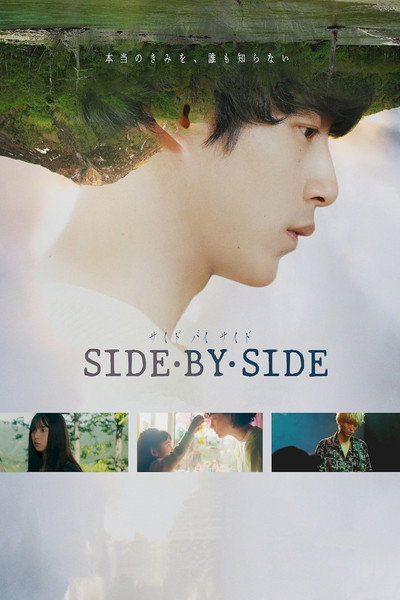Póster de Side by Side