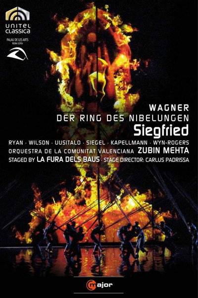 Póster de Siegfried