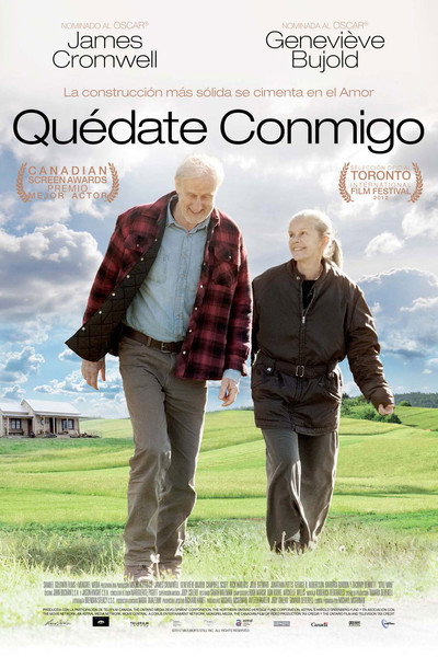 Póster de Siempre estaré contigo