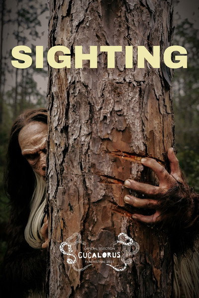 Póster de Sighting