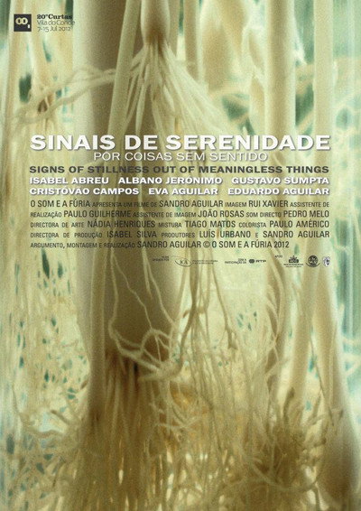 Póster de Signs of Stillness Out of Meaningless Things