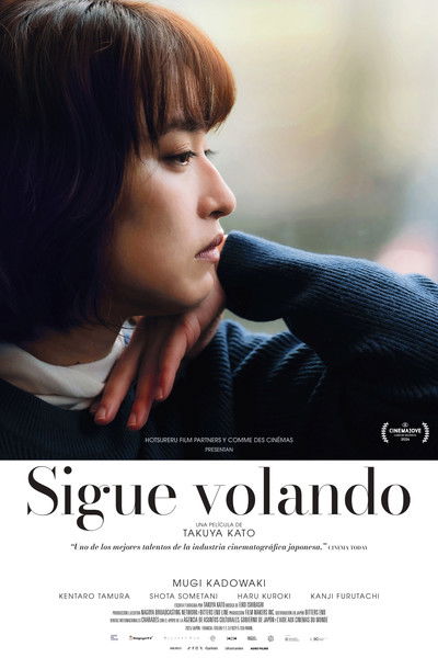 Póster de Sigue volando
