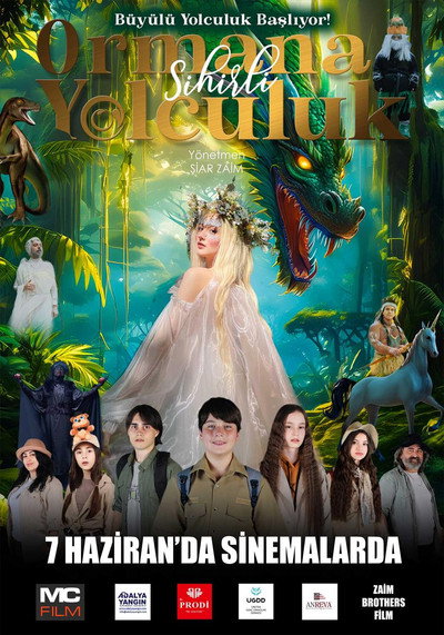 Póster de Sihirli Ormana Yolculuk