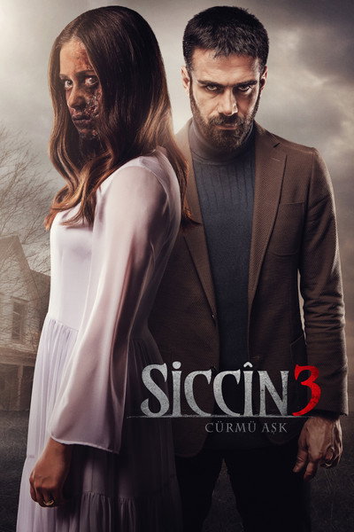 Póster de Sijjin 3: Love