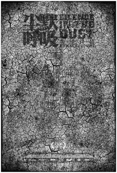 Póster de Silence in the Dust