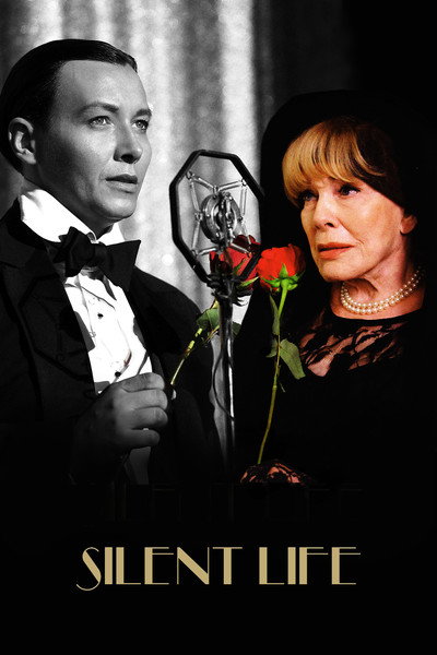 Póster de Silent Life: The Story of the Lady in Black
