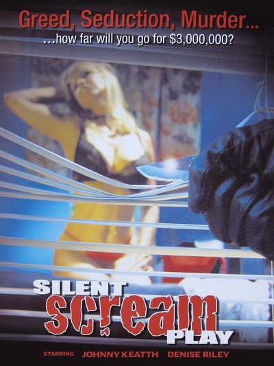 Póster de Silent Screamplay