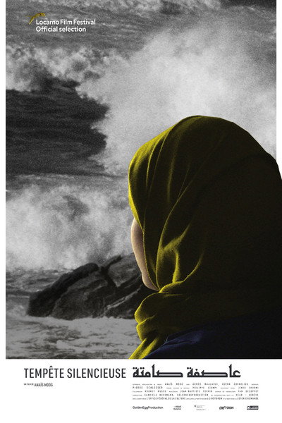 Póster de Silent Storm