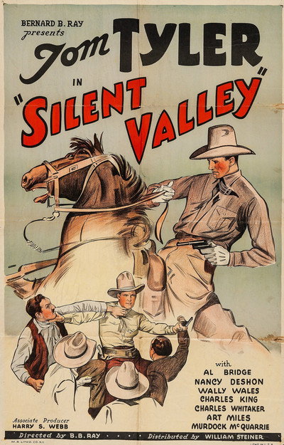 Póster de Silent Valley