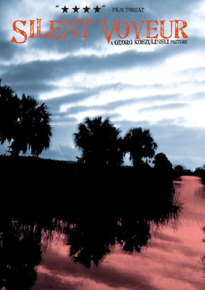 Póster de Silent Voyeur