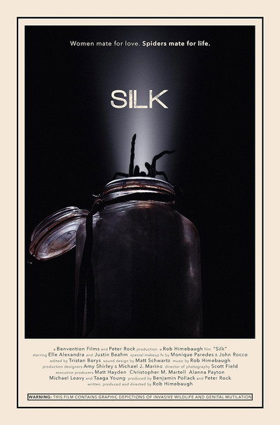 Póster de Silk