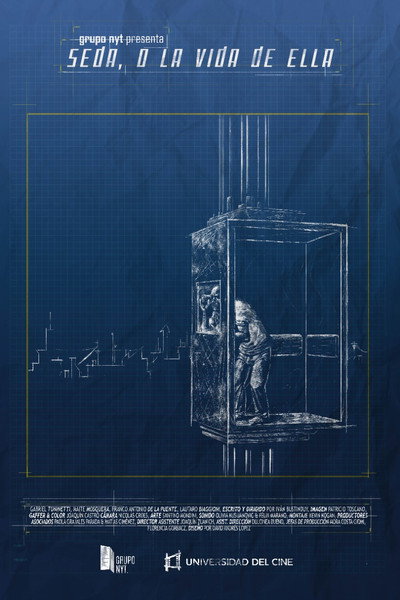 Póster de Silk