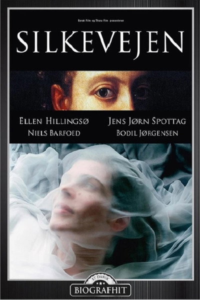 Póster de Silkevejen