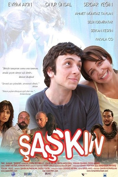 Póster de Silly Lovers
