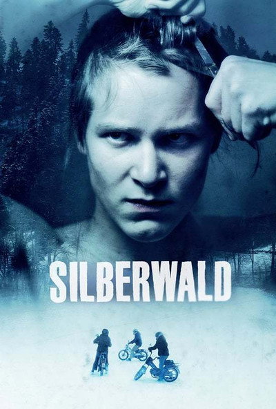 Póster de Silver Forest