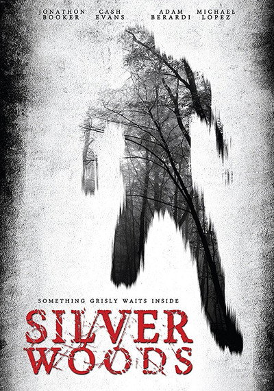 Póster de Silver Woods
