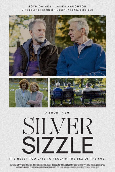 Póster de SilverSizzle