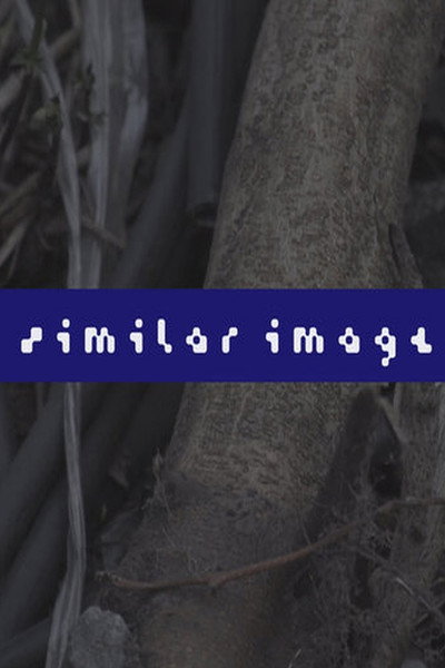 Póster de Similar Image