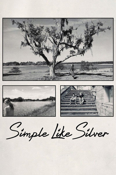 Póster de Simple Like Silver
