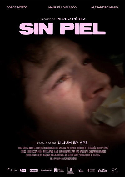 Póster de Sin Piel