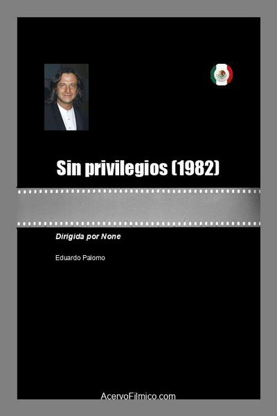 Póster de Sin privilegios