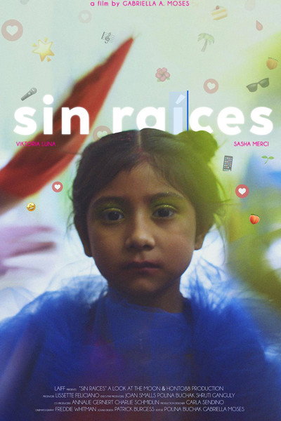 Póster de Sin Raíces