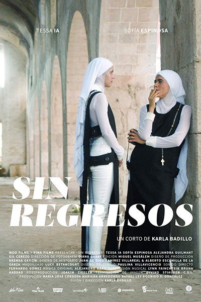Póster de Sin regresos