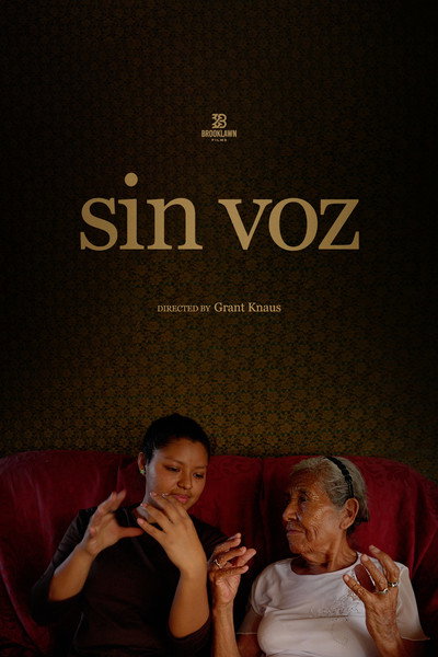Póster de Sin Voz