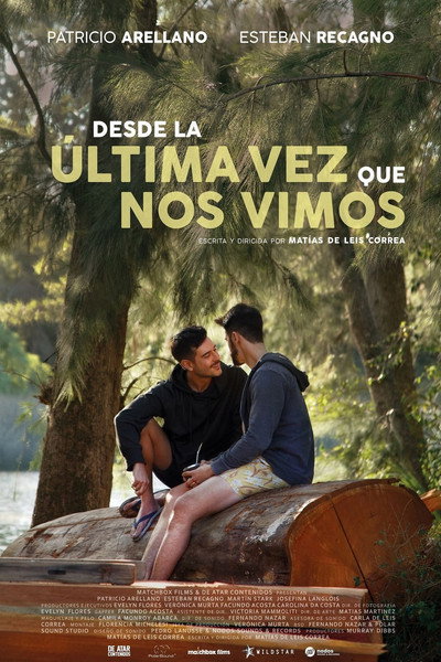 Póster de Since the Last Time We Met