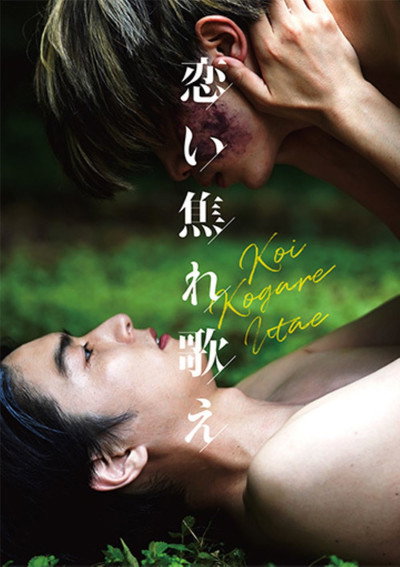 Póster de Sing in Love