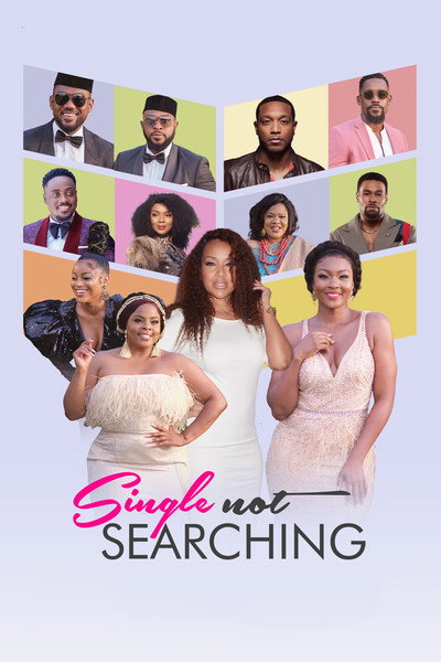 Póster de Single Not Searching