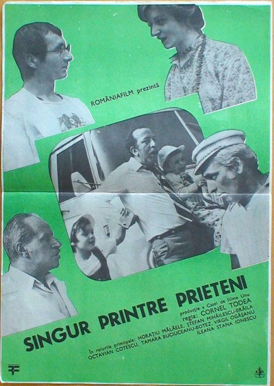 Póster de Singur printre prieteni