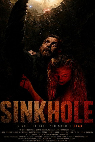 Póster de Sink Hole