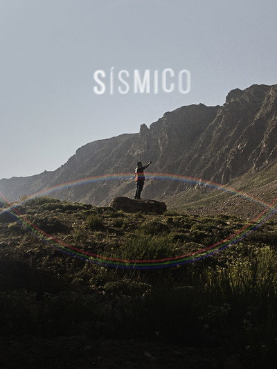 Póster de Sísmico