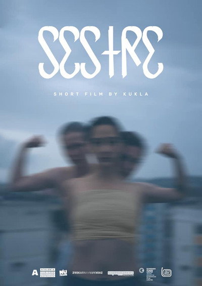 Póster de Sisters