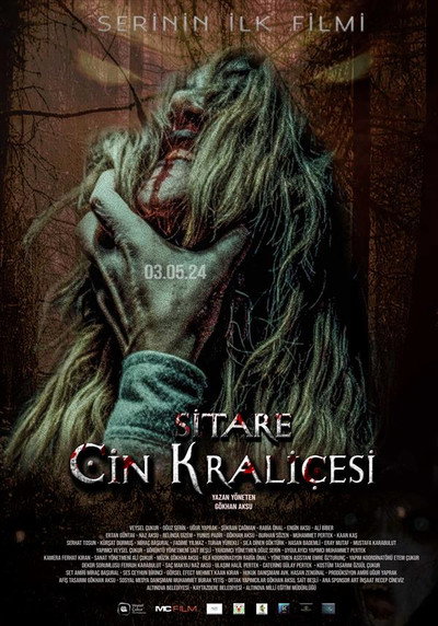 Póster de Sitare Cin Kralicesi