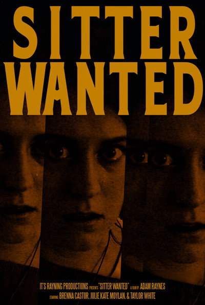 Póster de Sitter Wanted