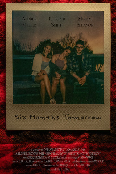 Póster de Six Months Tomorrow