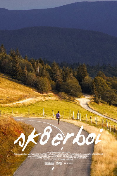 Póster de sk8erboi