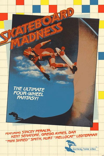 Póster de Skateboard Madness