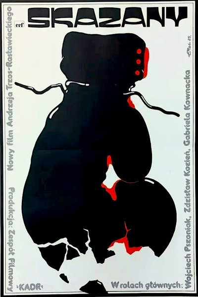 Póster de Skazany