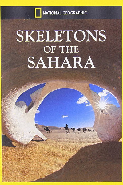 Póster de Skeletons of the Sahara