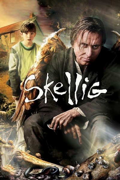 Póster de Skellig: The Owl Man