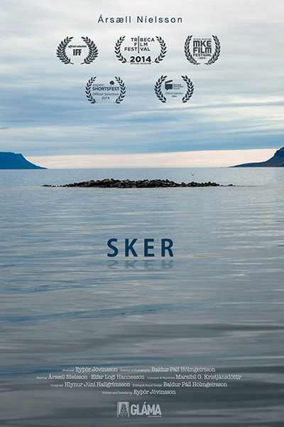 Póster de Skerry