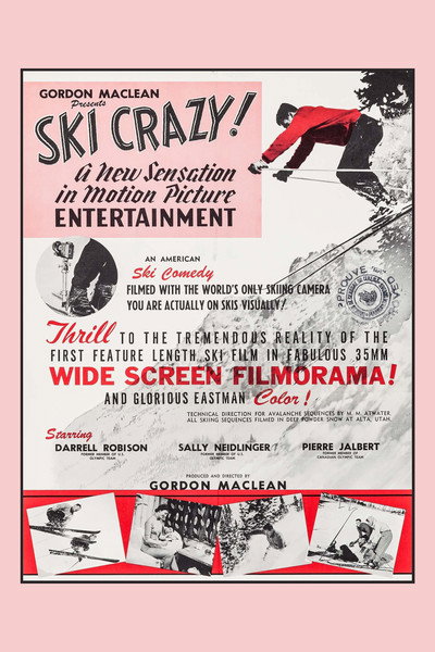 Póster de Ski Crazy!