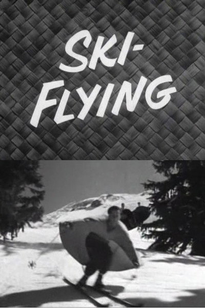 Póster de Ski-Flying