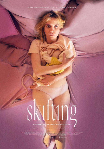 Póster de Skifting